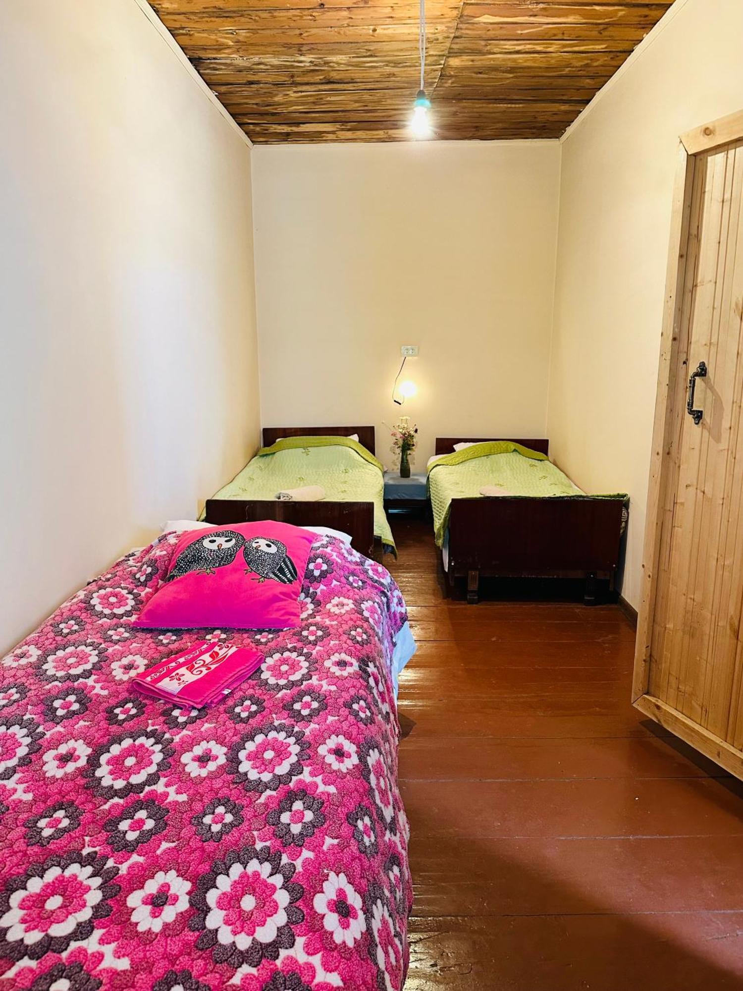 Tamazi Guest House Adishi Luaran gambar